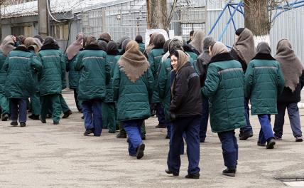 Демографию в РФ поправят заключенные? россия