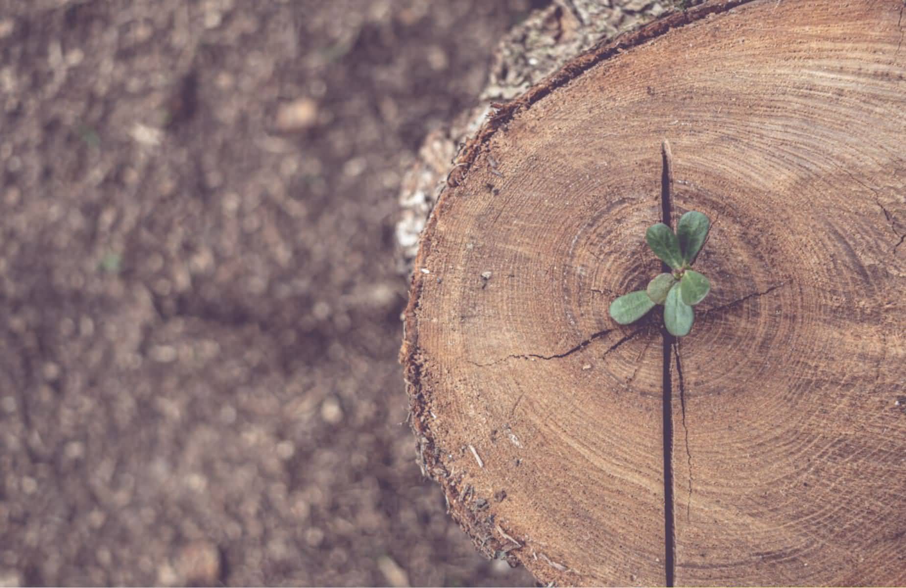 Screenshot_2025_09_05-4