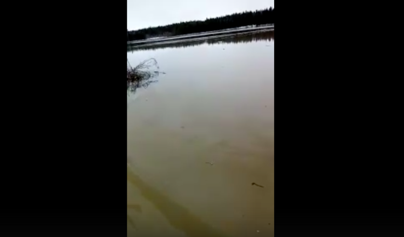 Появилось видео последствий прорыва дамбы на Белопорожских ГЭС в Карелии