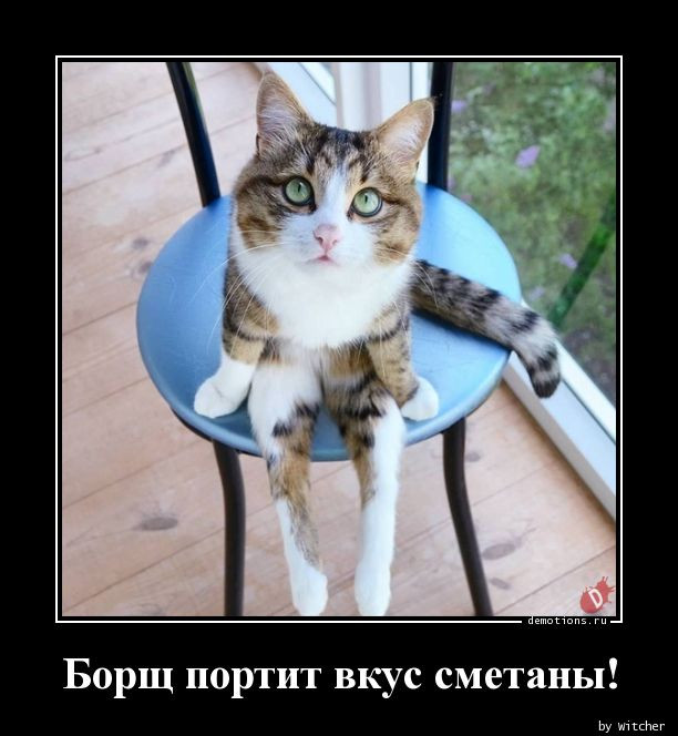 Демотиваторы на четверг: «Замечательный мужик…» 