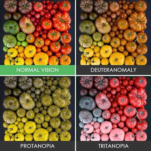 different-types-color-blindness-photos-6
