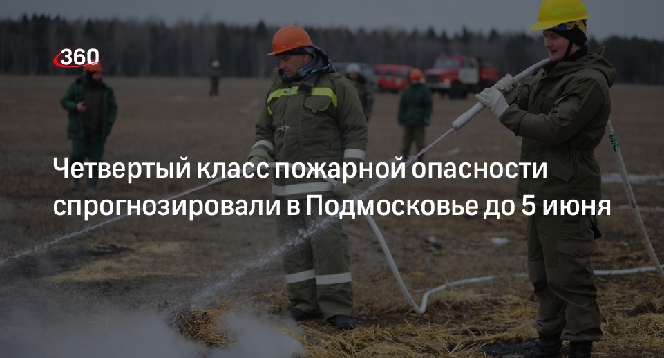 Четвертый класс пожарной опасности спрогнозировали в Подмосковье до 5 июня