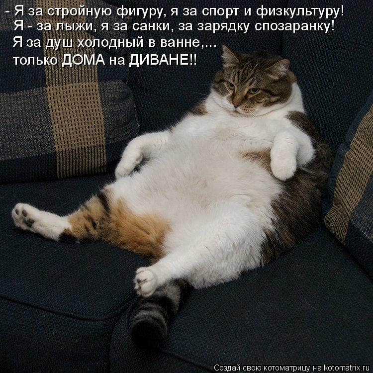 Котоматрица: - Я за стройную фигуру, я за спорт и физкультуру! Я - за лыжи, я за санки, за зарядку спозаранку! Я за душ холодный в ванне,... только ДОМА на ДИВ