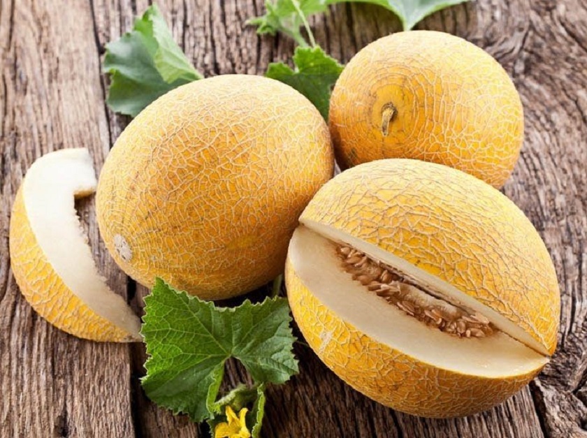 как выбрать вкусную дыню