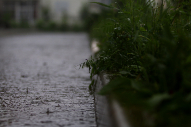 На Кубань снова идут ливни с грозой, градом и шквалистым ветром: прогноз до самого начала лета