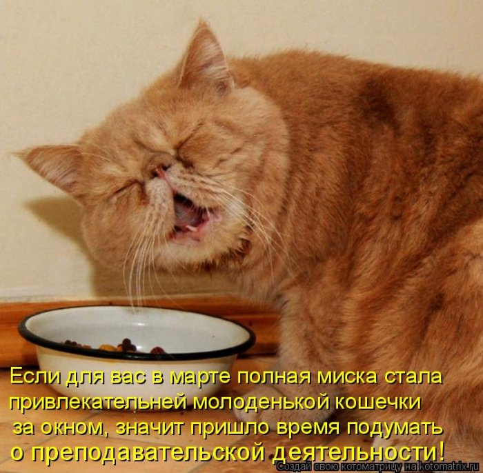 Мысли вслух :)