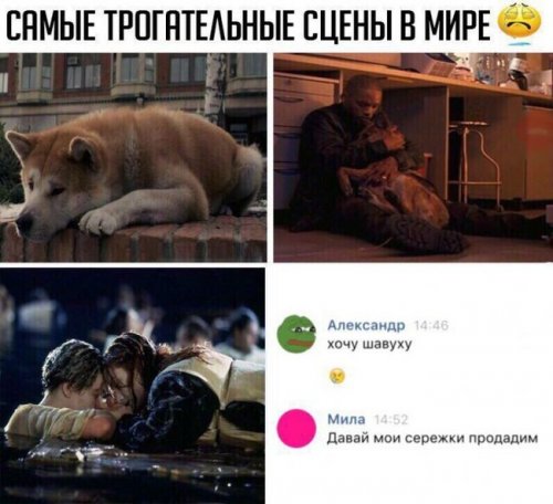 Прикольные картинки дня (50 шт)