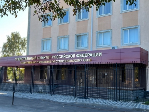 Глава ведомства поручил доложить  о ходе расследования уголовного дела  об убийстве малолетних детей в Ставропольском крае