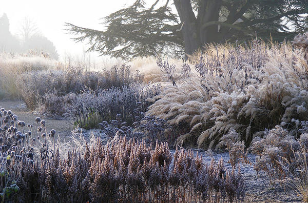 Сад Пита Удольфа в Трентэме зимой. Фото с сайта oudolf.com