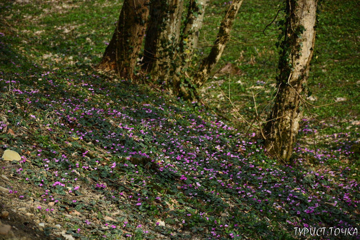 Весна в Горячем Ключе