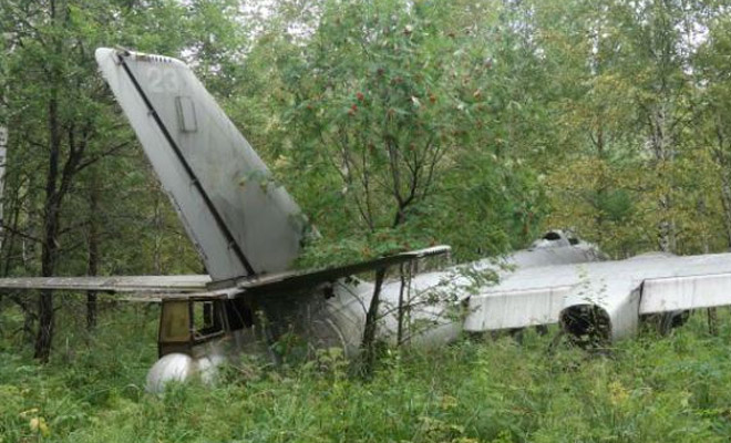 Самолет-призрак из леса: находка грибника, которой 70 лет