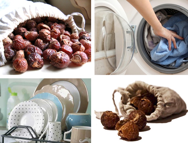Картинки по запросу Отличной альтернативой использованию стирального порошка являются мыльные орехи.