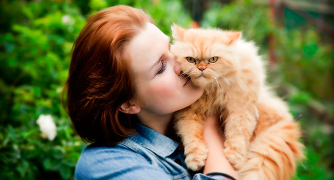 Анекдоты. Про Любовь...