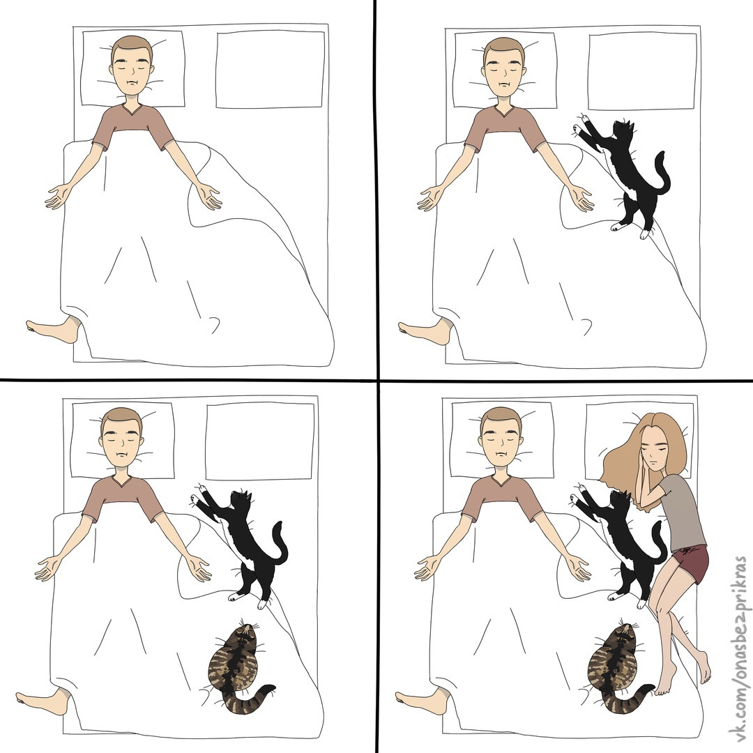 Как живут вместе социофоб и пофигист: 10+ смешных комиксов 