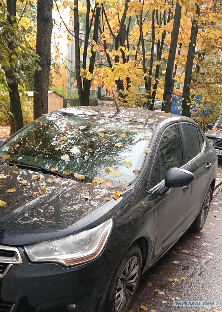 Встал на тротуаре - ломом по крыше