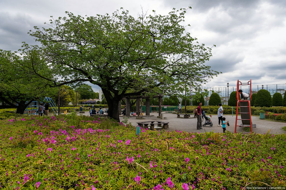 Что японцы делают с мусором Что японцы делают с мусором городская среда, интересное, мусор, парк, путешествия, токио, япония