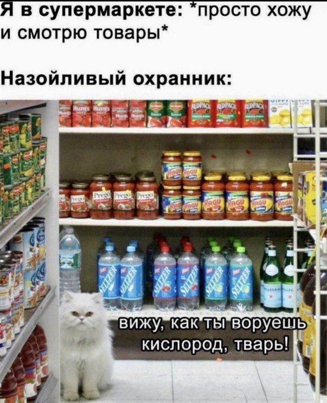 Шутки и мемы из Сети Шутки и мемы из Сети