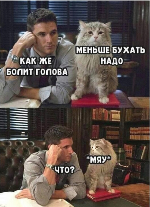 Юмор из интернета 704 Юмор из интернета 704 позитив,смех,улыбки,юмор