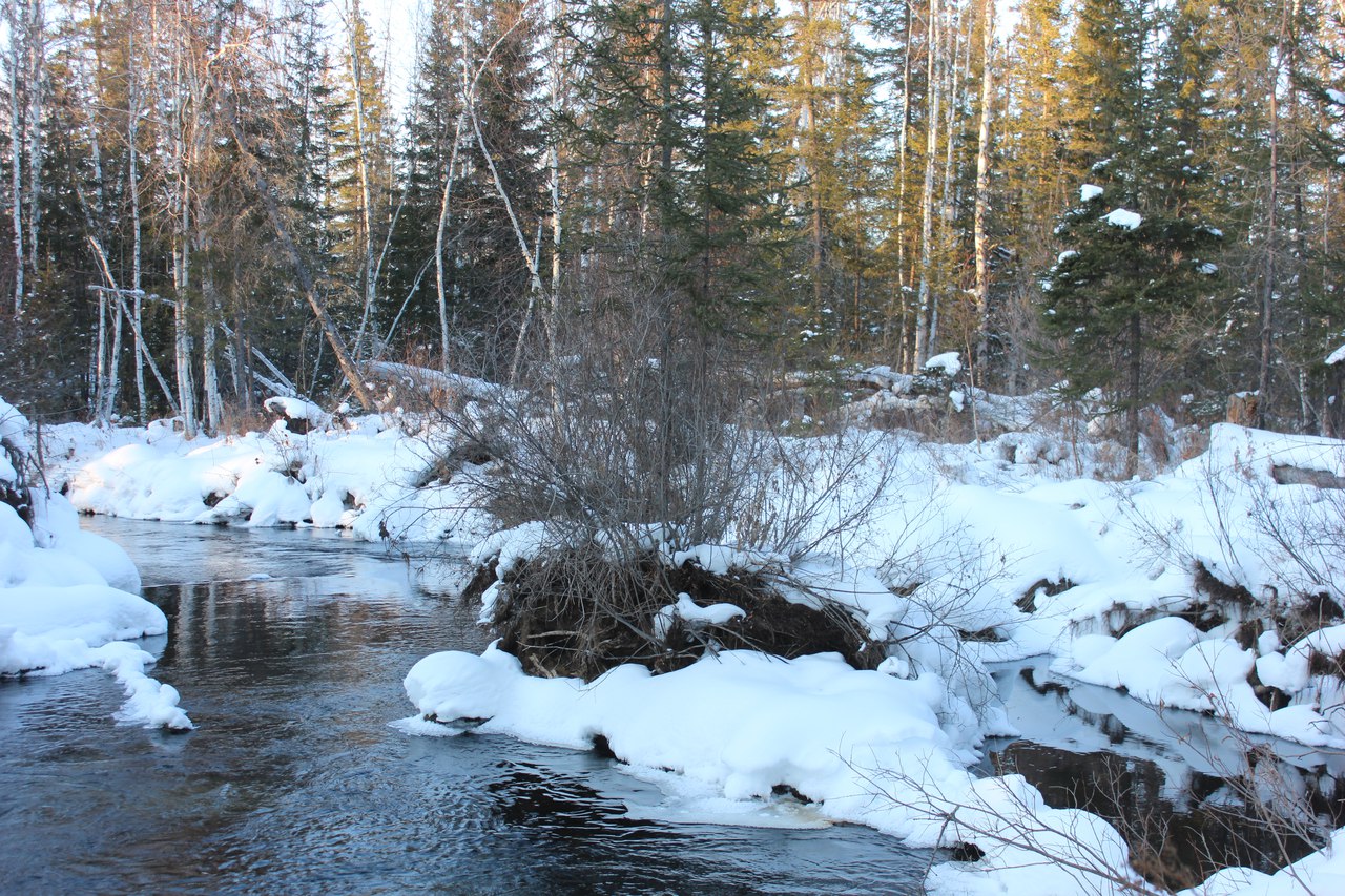 Заказник красный яр карта