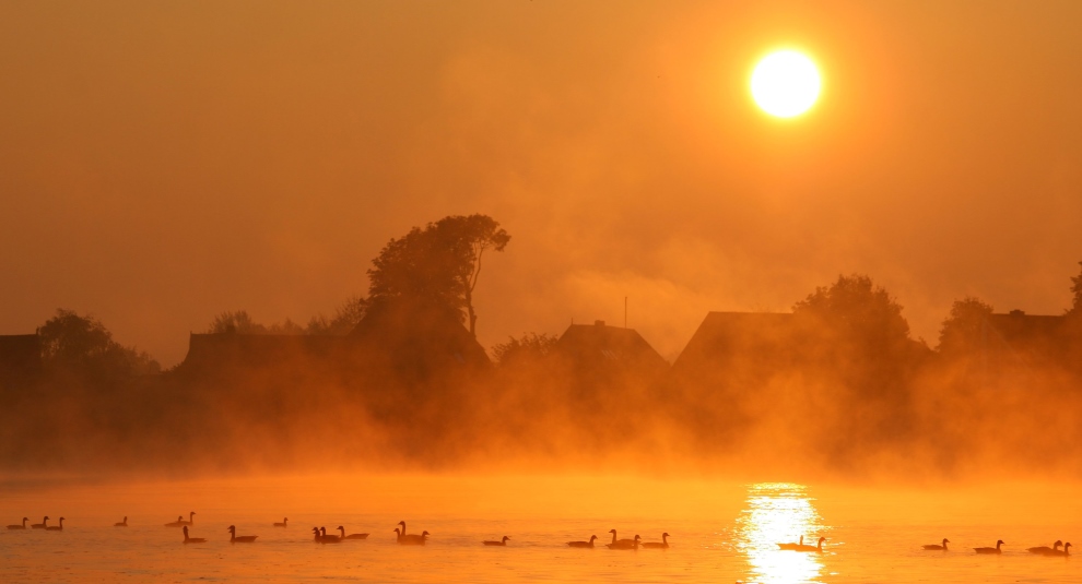 Imagini pentru фото осенние туманы