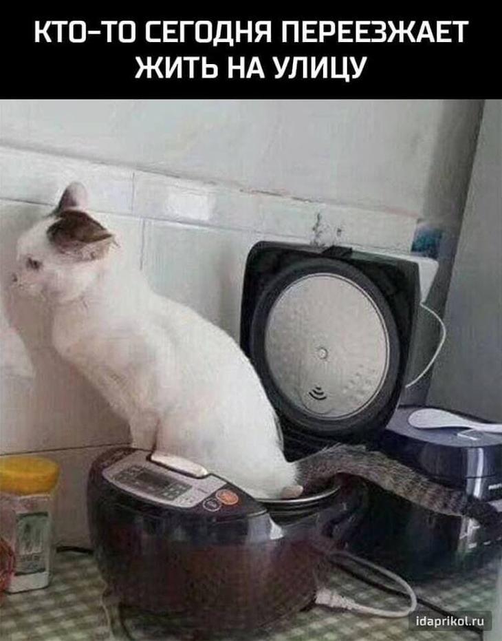 Несколько шуток, чтобы посмеяться от души Несколько шуток, чтобы посмеяться от души