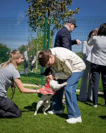 Княгиня Шарлен, князь Альбер II и члены монаршей семьи посетили приют для животных в Монако Шарлен, Альбер, князь, Монако, княгиня, Масси, животных, князя, приюта, семьи, Гримальди, Камилла, Стефания, принцесса, принцессы, ШарленКнягиня, МеланиАнтуанетта, IIКнягиня, Уиттсток, IIГарет