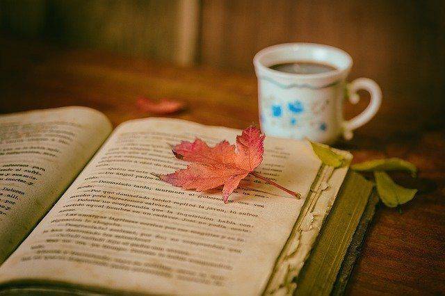Евгений Водолазкин станет хедлайнером книжного фестиваля «Красная строка»