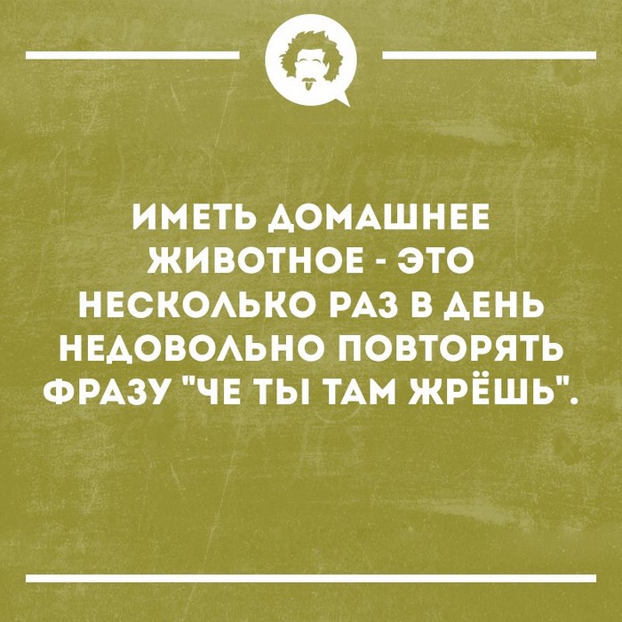 Свежая подборочка из 15 коротких смешных и не очень коротких рассказов от обычных людей Свежая подборочка из 15 коротких смешных и не очень коротких рассказов от обычных людей