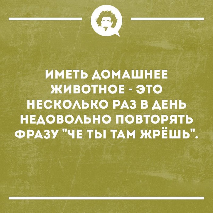 Свежая подборочка из 15 коротких смешных и не очень коротких рассказов от обычных людей 