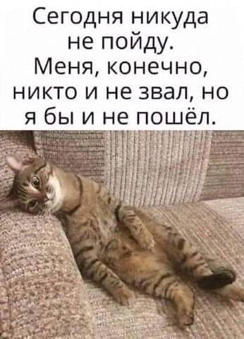 Несколько шуток, чтобы посмеяться от души Несколько шуток, чтобы посмеяться от души