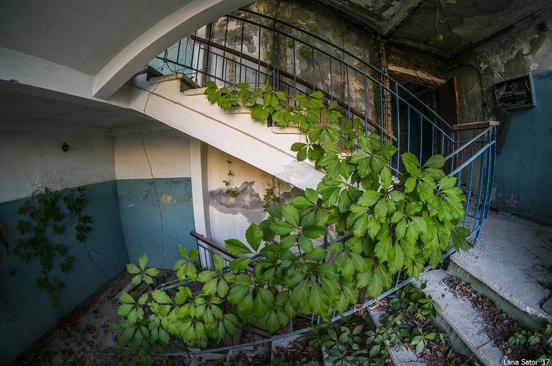 Заросший пионерский лагерь в Крыму Заросший пионерский лагерь в Крыму самостоятельные путешествия,туризм