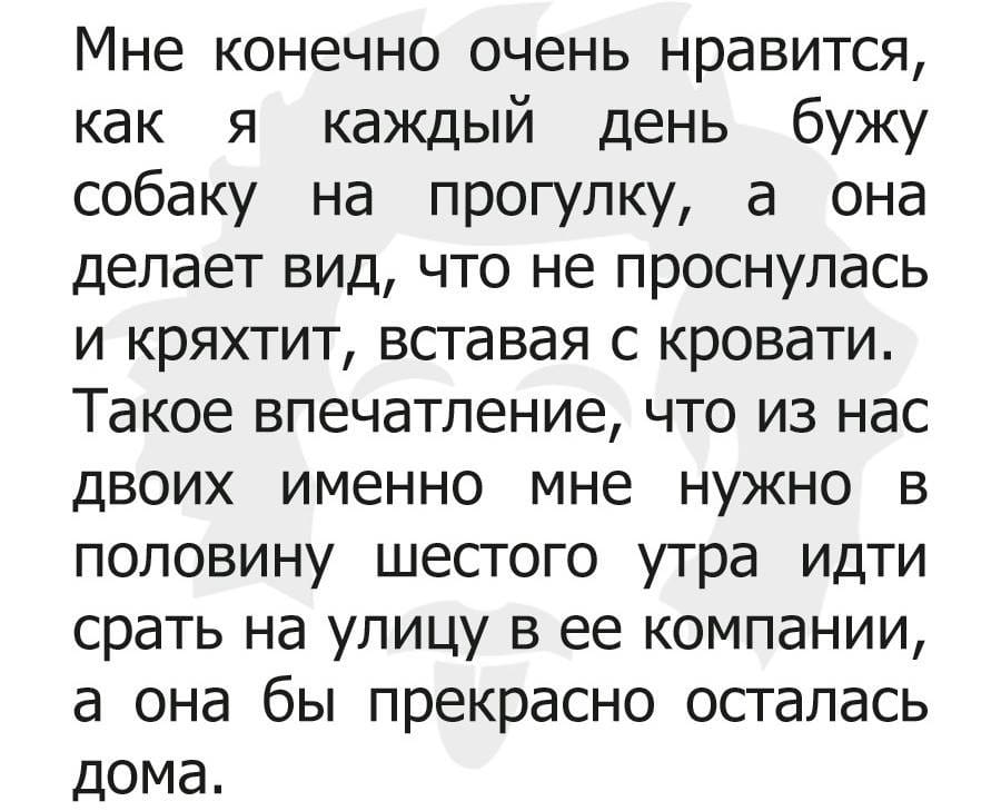 Я такая красивая. Ты меня не достоин... анекдоты,веселье,демотиваторы,приколы,смех,юмор