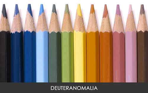 different-types-color-blindness-photos-2