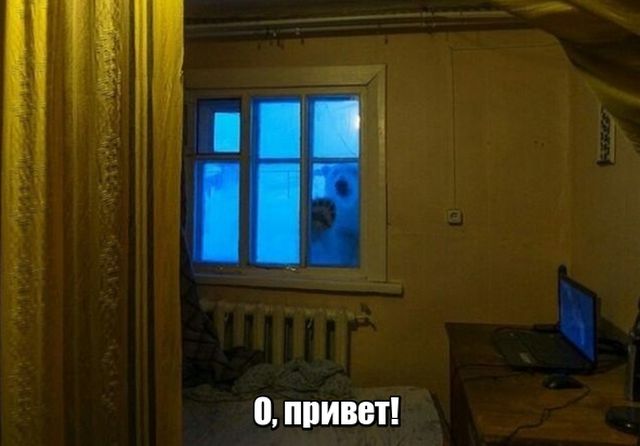 Подборка картинок