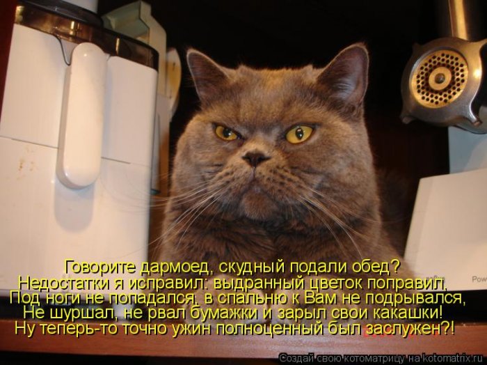 Мысли вслух :)
