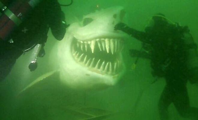 Каменная акула и еще 4 искусственных объекта, найденные под водой дайверами