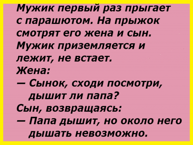 Ограбили Сару, она вызвала милицию, бегает по двору… юмор, приколы,, Юмор