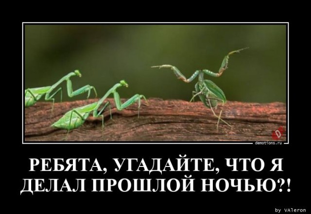Демотиваторов пост: «Белые начинают и проигрывают» Демотиваторов пост: «Белые начинают и проигрывают»