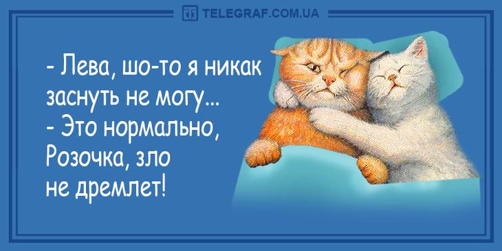 Лучший юмор с просторов Сети: 30 анекдотов и шуток в картинках, чтоб посмеяться от души 