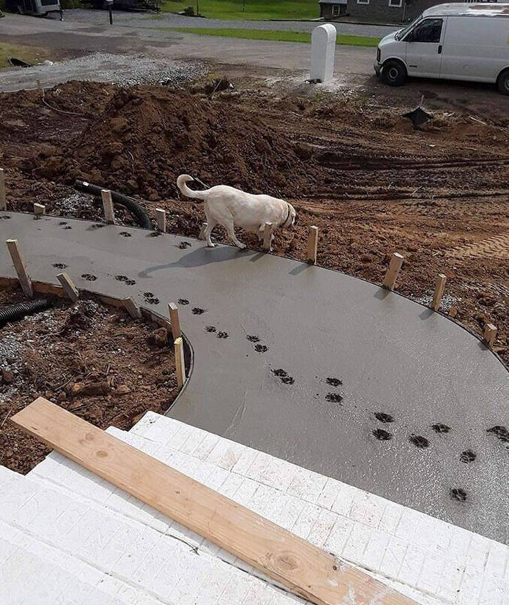 Подборка смешных картинок. Вечерний выпуск Подборка смешных картинок. Вечерний выпуск приколы,смешные картинки,юмор