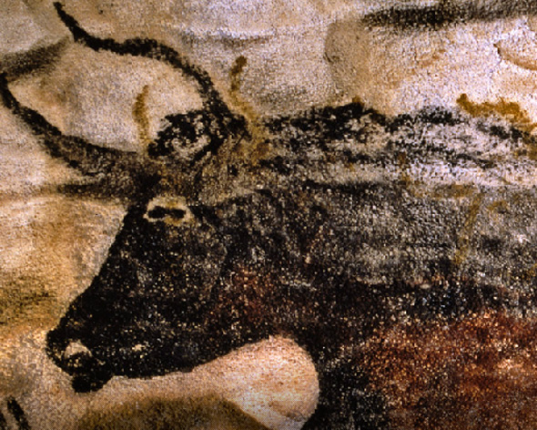 пещера ЛАСКО (7).jpg