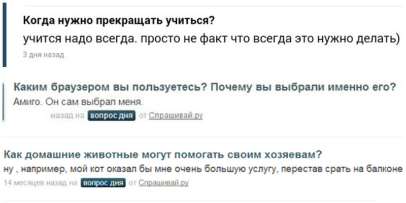 Как гласит народная мудрость: «На любой глупый вопрос, найдётся не менее глупый ответ» вопросы, интересное, прикол, спрашивай