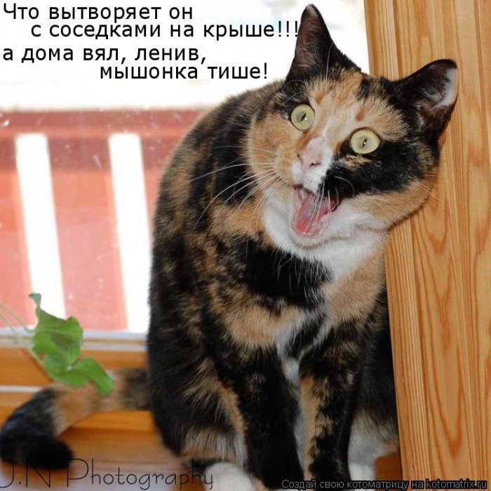 Мысли вслух :)