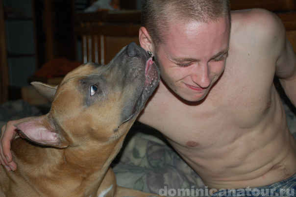 отзывы о доминикане, отдых доминикана, доминикана отдых, отдых в доминикана, отдых доминиканская республика, доминиканская республика отдых