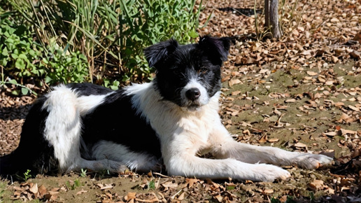 Ответственный работник