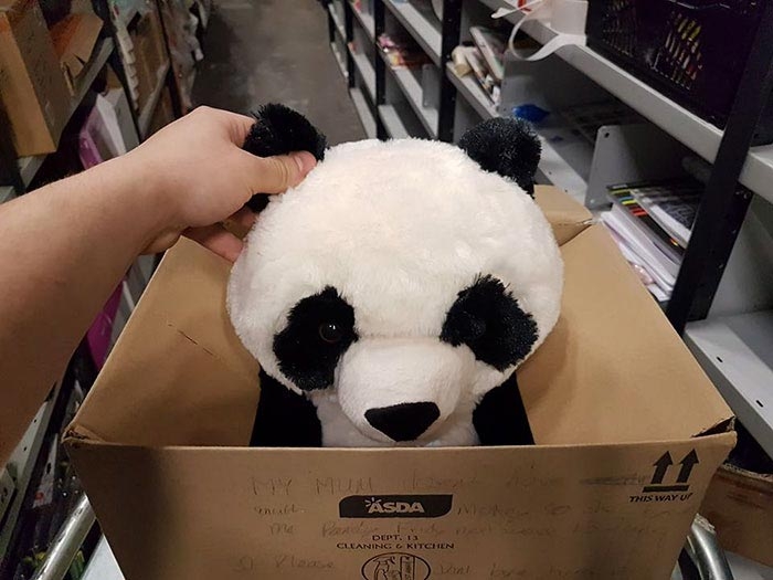 Эта плюшевая панда украла сердце 10-летнего Леона Эшворта из Ливерпуля, Британия дети, добро, игрушка, магазин, милота, панда, покупка, ребенок