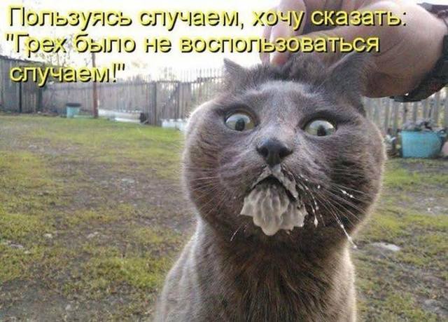 Одноразовая посуда не снискала у россиян популярности в быту. Поскольку после 3-4 моек приходит в негодность Одноразовая посуда не снискала у россиян популярности в быту. Поскольку после 3-4 моек приходит в негодность анекдоты,демотиваторы,приколы,юмор