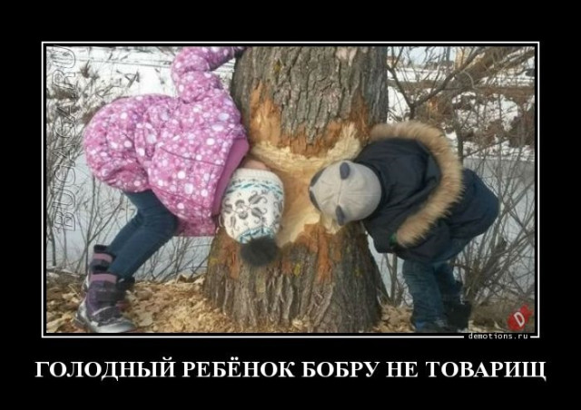 Большая коллекция демотиваторов: «Так я понял, что слушать родителей необходимо» 