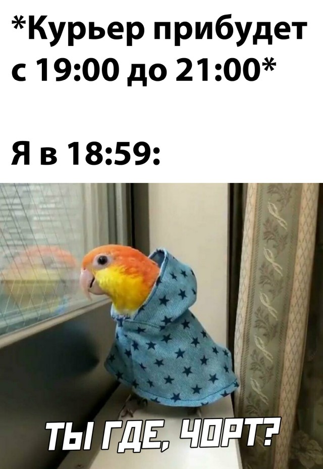 Подборка смешных картинок. Вечерний выпуск Подборка смешных картинок. Вечерний выпуск приколы,смешные картинки,юмор