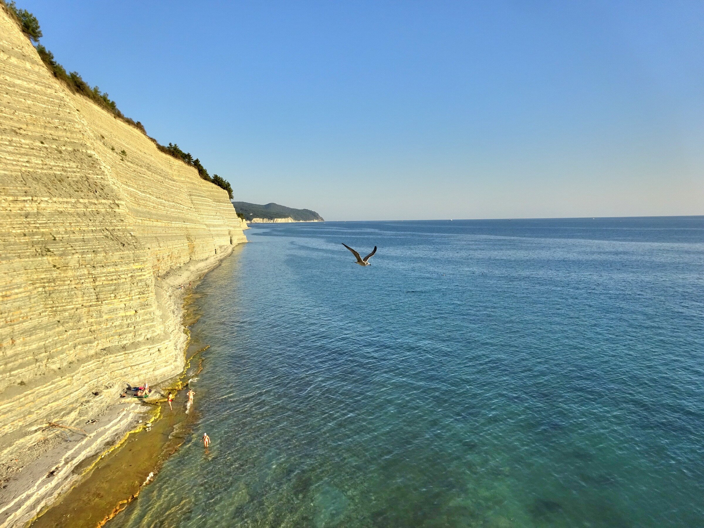 Сосновка - лучший пляж Геленджика Сосновка - лучший пляж Геленджика
